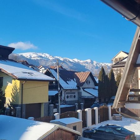 Vila Panselutelor 6 Sinaia Dış mekan fotoğraf