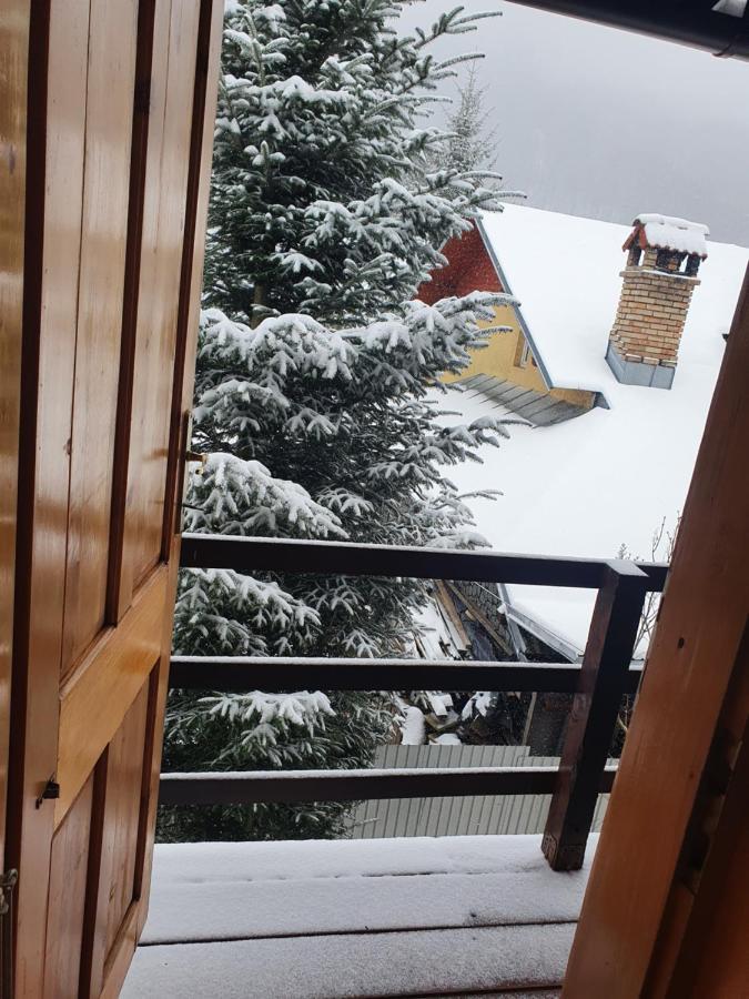 Vila Panselutelor 6 Sinaia Dış mekan fotoğraf