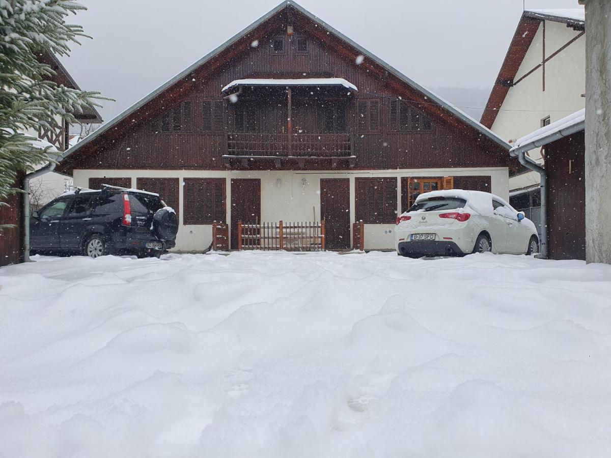 Vila Panselutelor 6 Sinaia Dış mekan fotoğraf