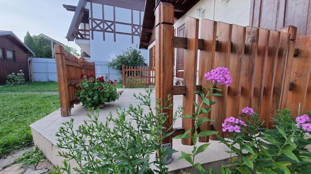 Vila Panselutelor 6 Sinaia Dış mekan fotoğraf