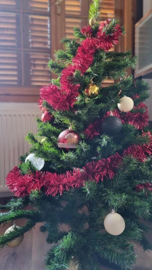 Vila Panselutelor 6 Sinaia Dış mekan fotoğraf