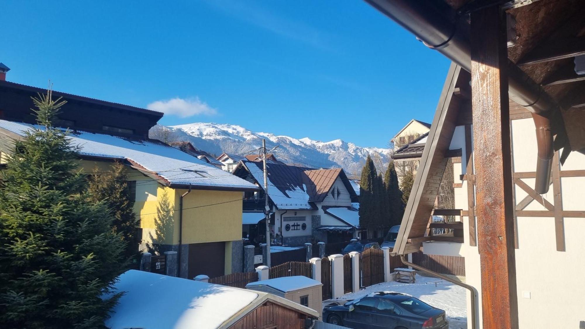 Vila Panselutelor 6 Sinaia Dış mekan fotoğraf